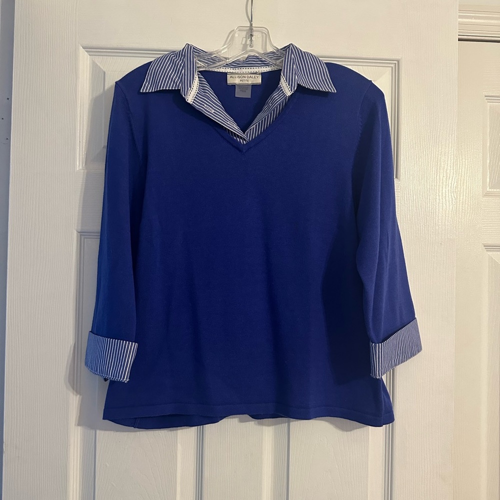 Allison Daley Blue and White Striped Top